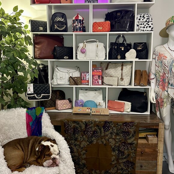 Meet your Posher, Bella - Picture 3 of 7